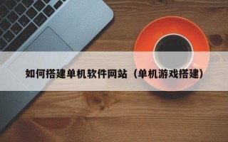 宁夏如何搭建单机软件网站（单机游戏搭建）