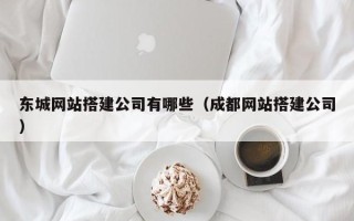 宁夏东城网站搭建公司有哪些（成都网站搭建公司）